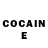 COCAIN Fish Scale Lojing5