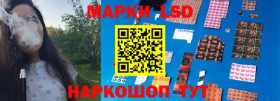 сатива Аргун