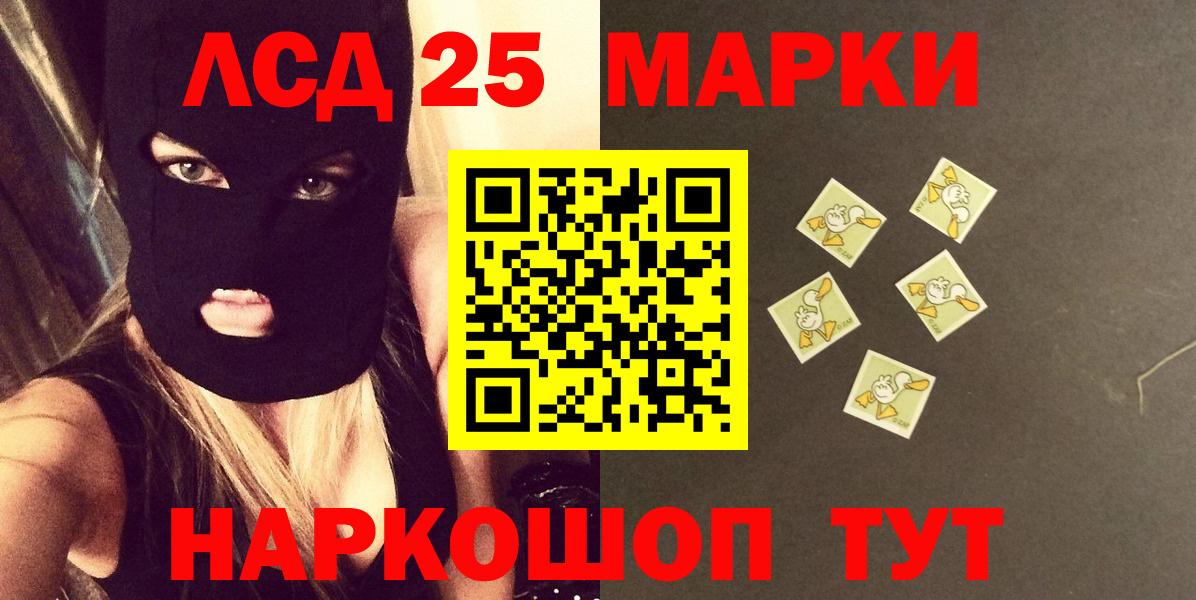 Галлюциногенные грибы Владимир
