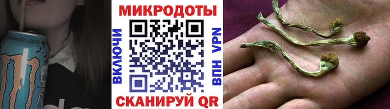 наркотики  Владимир  Псилоцибиновые грибы Psilocybe 