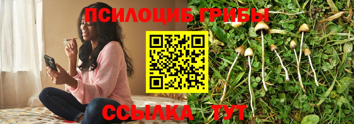 Галлюциногенные грибы MAGIC MUSHROOMS Владимир