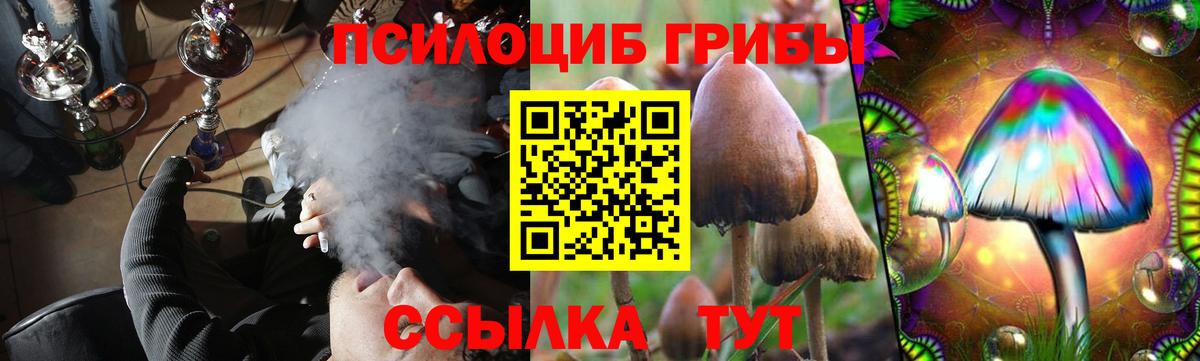 Галлюциногенные грибы Psilocybine cubensis  Псилоцибиновые грибы Psilocybine cubensis  Владимир  Вход с VPN 